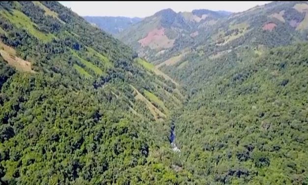 EL CONSORCIO VIAL FASE II SAN FÉLIX GANÓ LA LICITACIÓN PARA PAVIMENTAR 16,5 KILÓMETROS ENTRE SALAMINA Y SAN FÉLIX. LA PROPUESTA ASCIENDE A 21 MIL 635 MILLONES DE PESOS Y QUEDÓ ELEGIDA ENTRE  37 INICIATIVAS