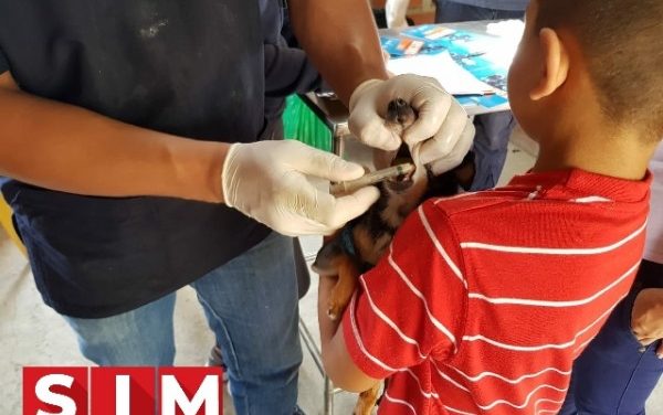 VACUNACIÓN Y DESPARASITACIÓN, ASPECTOS PARA EL BIENESTAR DE LAS MASCOTAS