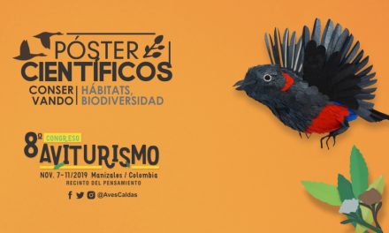 Convocatorias abiertas en el 8° #CongresoAviturismo .:: Póster científicos, Simposio de educación y exposición Aves en el Arte ::.