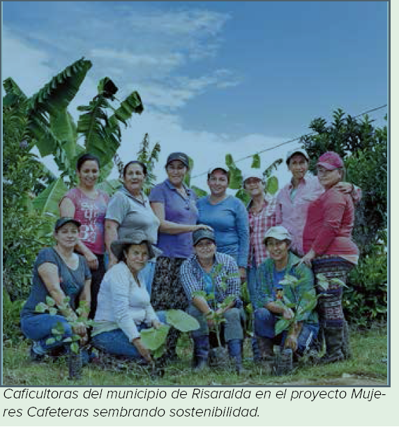EN PROYECTO SEMBRANDO SOSTENIBILIDAD Mujeres caficultoras, madrinas de la reforestación en Caldas