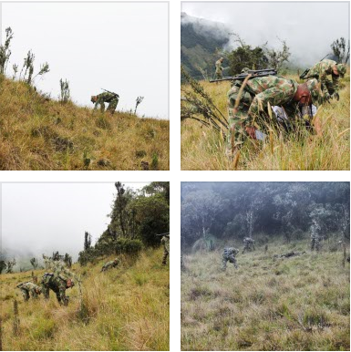 LOS SOLDADOS REFORESTAN EL PÁRAMO PESE AL AISLAMIENTO PREVENTIVO OBLIGATORIO