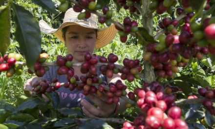 Nespresso y Federación Nacional de Cafeteros se unen en homenaje a las caficultoras colombianas