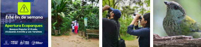 ECOPARQUES BOSQUE POPULAR, LOS ALCÁZARES Y YARUMOS, HABILITADOS PARA INGRESO DE PÚBLICO DESDE ESTE SÁBADO