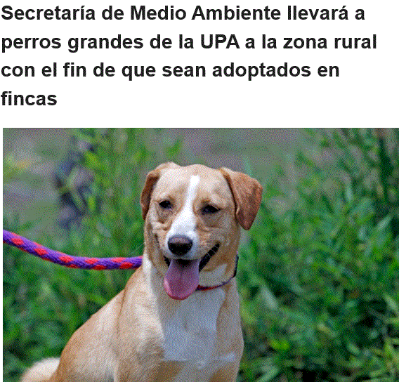 NOTICIAS DE MANIZALES PARA EL 24-V-2022