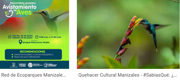 ACTIVIDADES DE LA ADCMINISTRACION DE MANIZALES PARA HOY 29-IX-2022