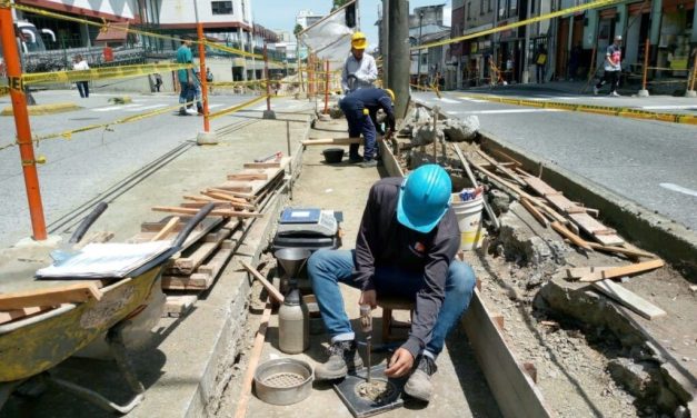 PASARELAS ELEVADAS EN BULEVAR DE LA 19